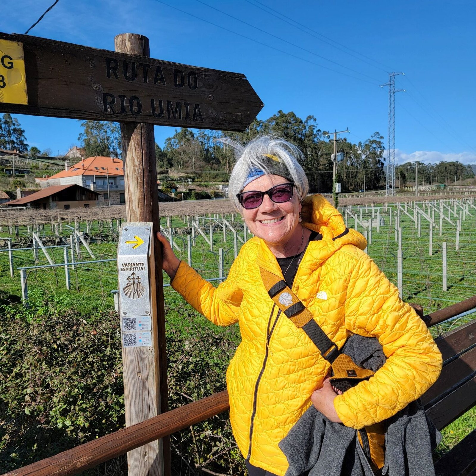Stacey Wittig’s Camino Chronicles Claim Top Amazon New Release Status