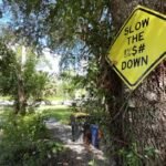 Steel and Stakes: Jacksonville Residents Build Barricades Against US-17 Carnage