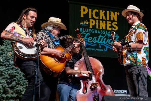 Strumming Through Two Decades: How Pickin’ in the Pines Became an Economic Powerhouse
