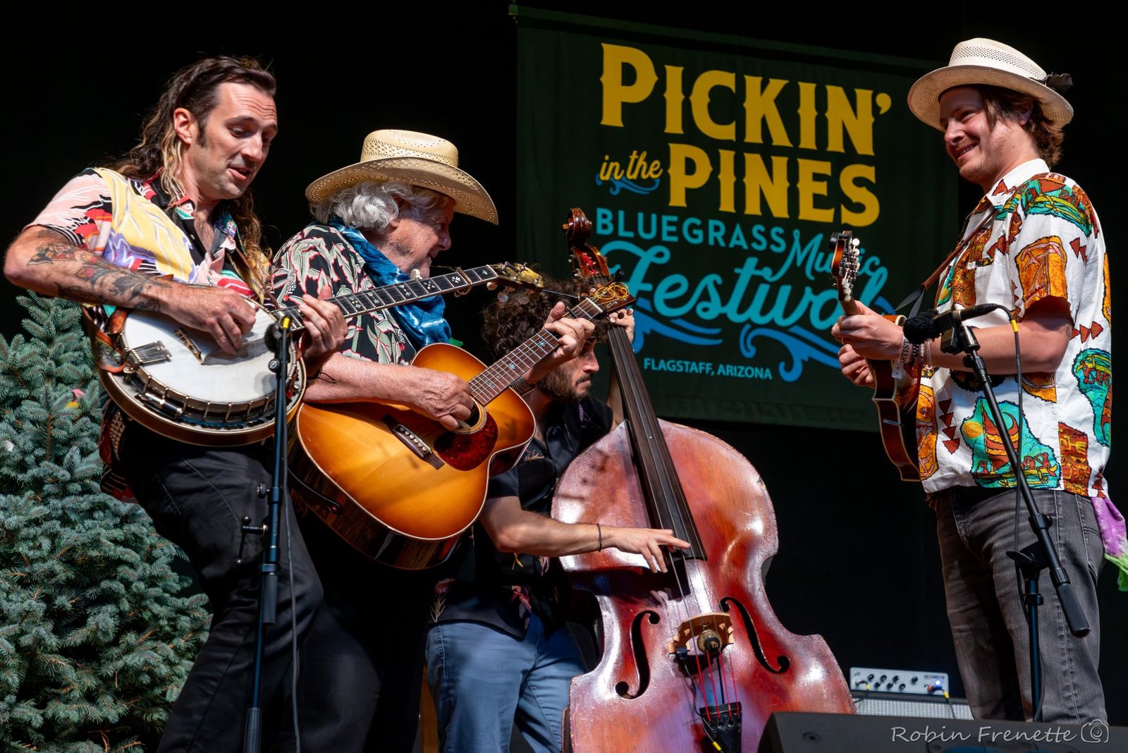 Strumming Through Two Decades: How Pickin’ in the Pines Became an Economic Powerhouse