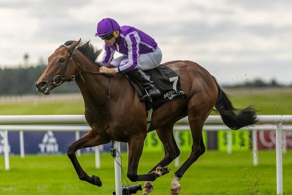 Sun Goddess Eyes Group One Glory as O’Brien Looks to Extend Winning Streak