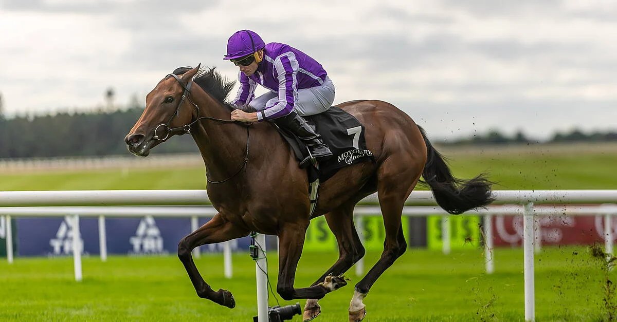 Sun Goddess Eyes Group One Glory as O’Brien Looks to Extend Winning Streak