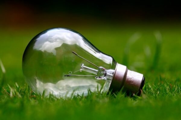 Sun and Sea: CFE Unveils Green Energy Frontier in Baja California Sur