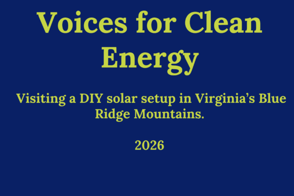 Sunlight on a Budget: Is the DIY Solar Dream Truly Sustainable?