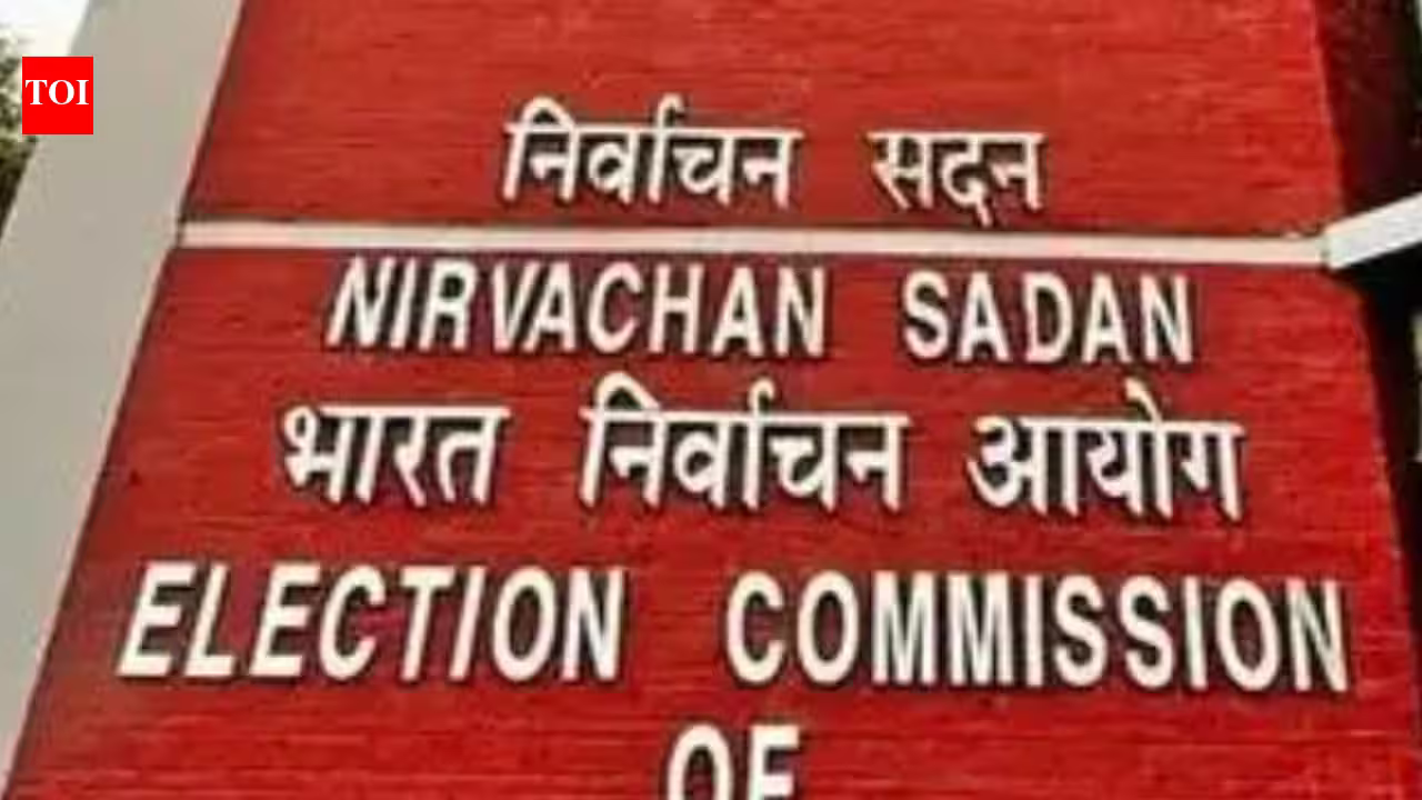 TMC Identity Showdown: Interim Verdict Looms for September 17