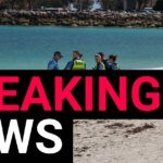 Terror in the Surf: Swimmer Fatally Mauled in Violent Shark Attack