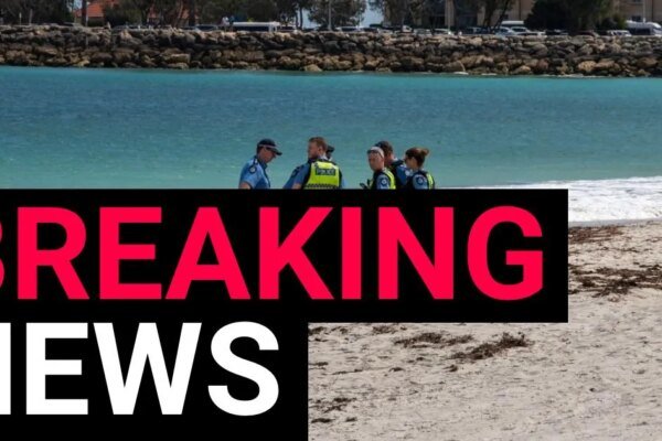 Terror in the Surf: Swimmer Fatally Mauled in Violent Shark Attack