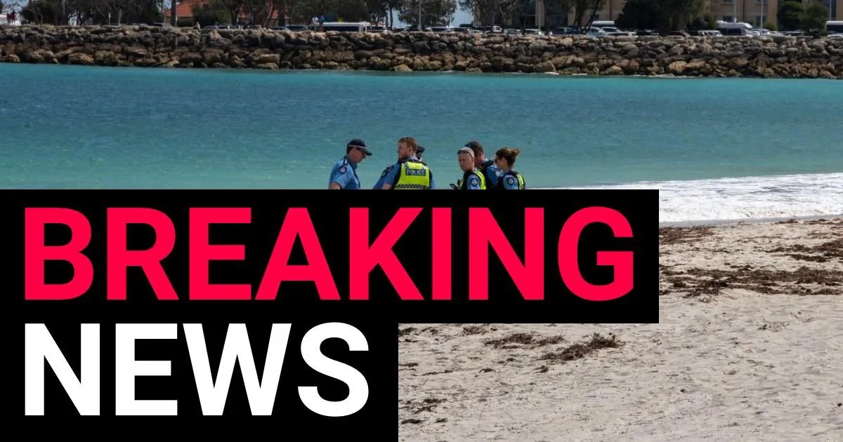 Terror in the Surf: Swimmer Fatally Mauled in Violent Shark Attack