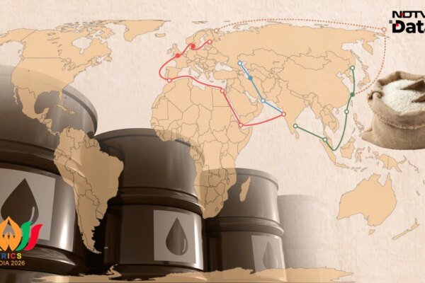 The BRICS Blueprint: Forging a Sovereign Path in Energy, Food, and Rare Earths