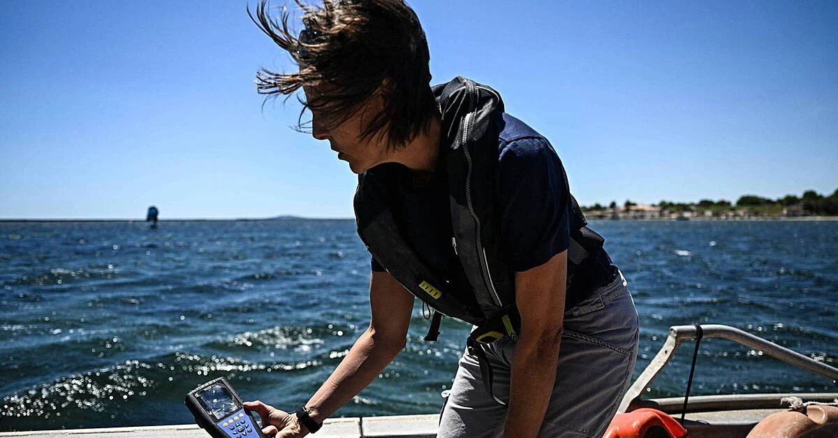 The Boiling Blue: Ocean Heat Hits Uncharted Extremes