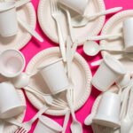 The Disposable Legacy: How ‘Forever Chemicals’ Are Outliving Our Convenience