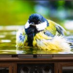 The Glass Eye in Your Living Room: Why Your TV Is Watching You Back