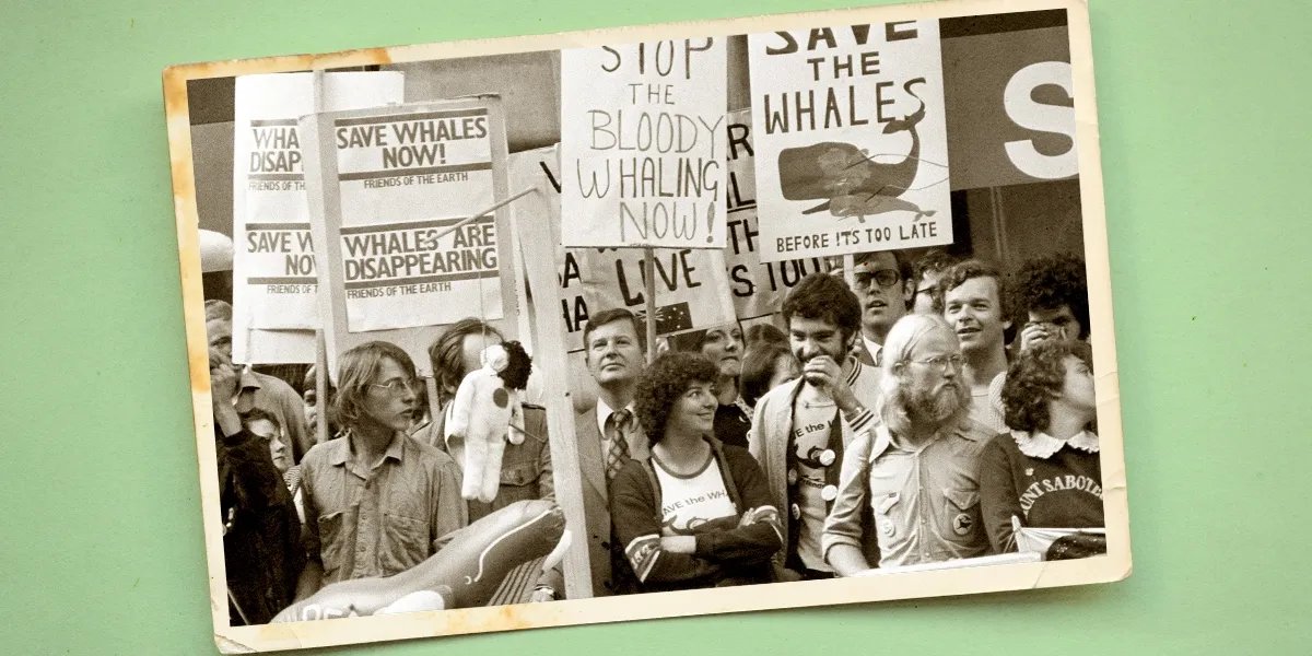 The Green Constant: Why Americans Are Refusing to Let Conservation Fade
