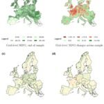 The Green Paradox: Can We Grow Our Wealth Without Costing the Earth?
