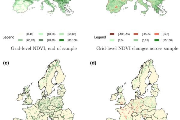 The Green Paradox: Can We Grow Our Wealth Without Costing the Earth?