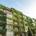The Green Premium: Are Eco-Friendly Homes Worth the Upfront Investment?