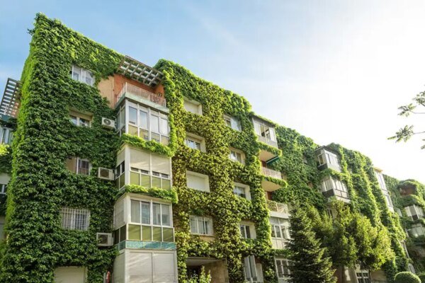 The Green Premium: Are Eco-Friendly Homes Worth the Upfront Investment?