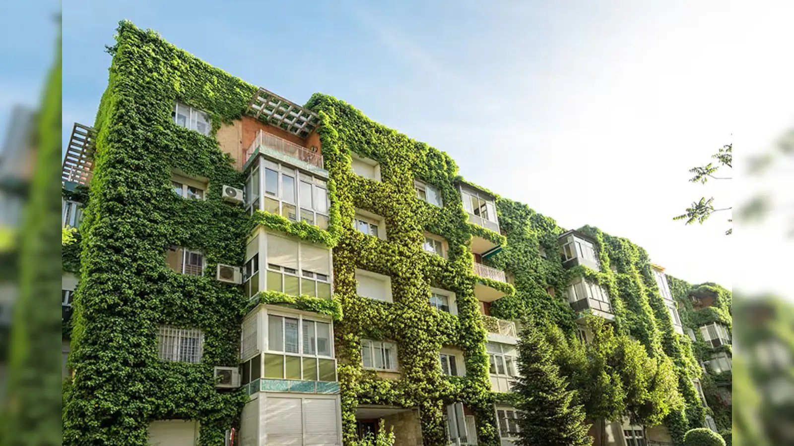 The Green Premium: Are Eco-Friendly Homes Worth the Upfront Investment?