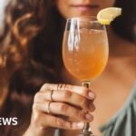 The Gut-Health Mirage: Separating Fermented Fact from Trendy Fiction