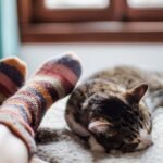 The Hidden Instinct: Why Your Cat Really Claims Your Bed as Its Own
