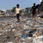 The High Cost of Having It All: How Western Consumption Exports Ecological Ruin