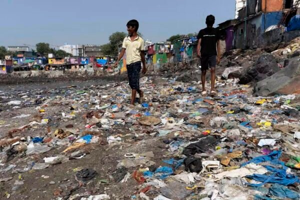 The High Cost of Having It All: How Western Consumption Exports Ecological Ruin