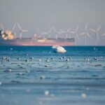 The High-Stakes Balancing Act: Can Offshore Wind Save the Climate Without Costing the Coast?