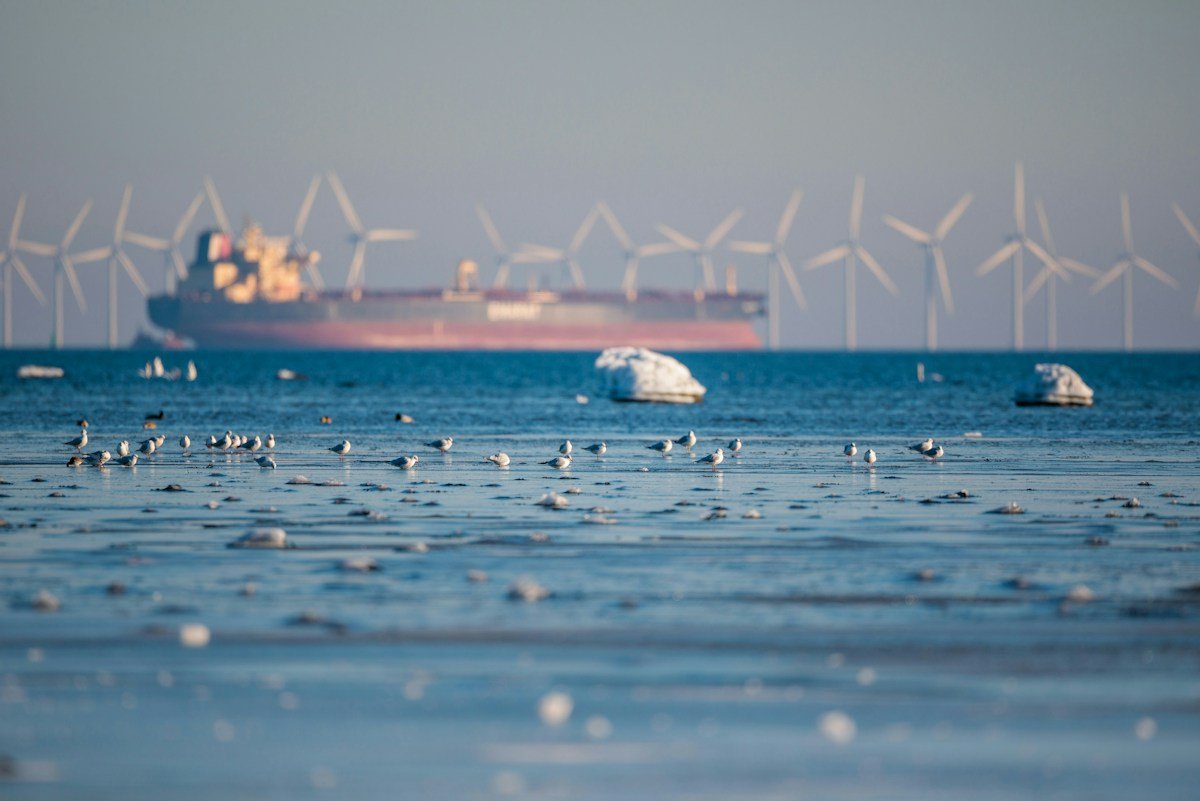 The High-Stakes Balancing Act: Can Offshore Wind Save the Climate Without Costing the Coast?