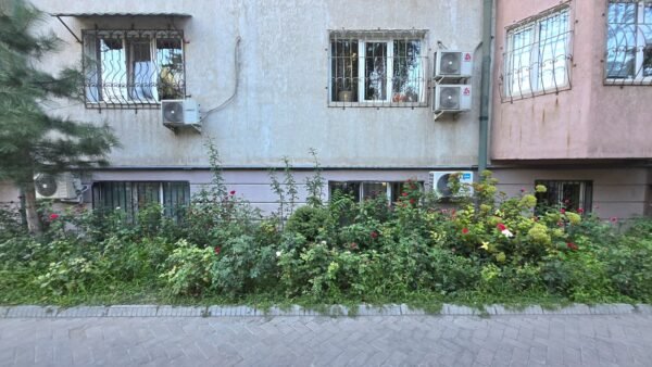 The Micro-Sponge Revolution: Can Miniature Cities Turn the Tide on Central Asia’s Aridity?