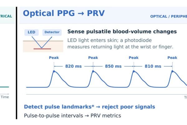 The Pulse of Distrust: Why Your Wearable’s Readiness Score Is Only Half the Story