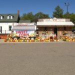 The Roadside Revolution: How One Minnesota Farmer Is Cultivating Growth at the Farm Stand