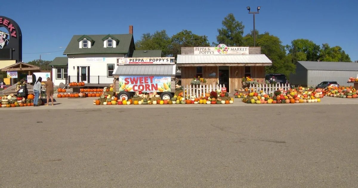 The Roadside Revolution: How One Minnesota Farmer Is Cultivating Growth at the Farm Stand