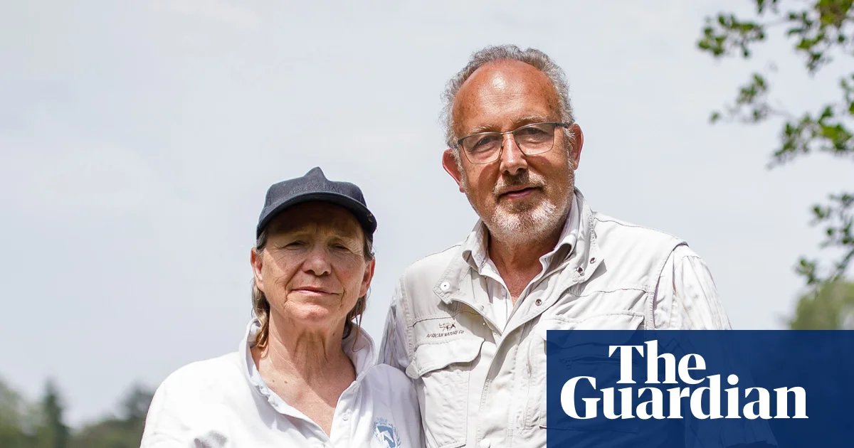 The Silent Shore: Why an Overnight Catastrophe Turned a Pristine Lake into a Graveyard