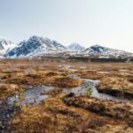 The Warming Multiplier: Earth’s Natural Feedback Loops Poised to Supercharge Climate Crisis