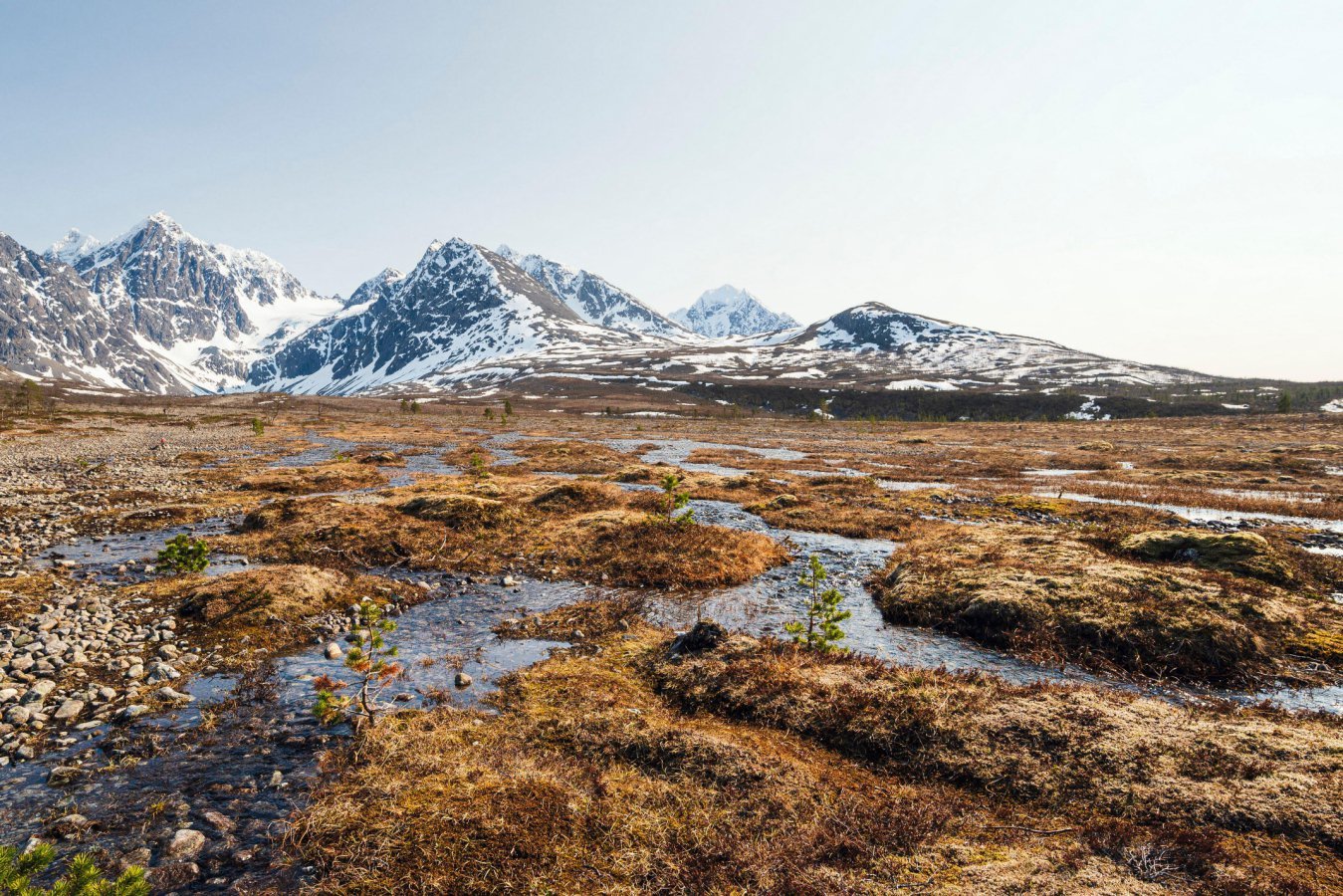 The Warming Multiplier: Earth’s Natural Feedback Loops Poised to Supercharge Climate Crisis