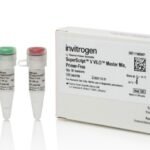 Thermo Fisher Unveils SuperScript V: The New Frontier in High-Fidelity Reverse Transcription