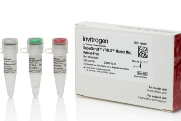 Thermo Fisher Unveils SuperScript V: The New Frontier in High-Fidelity Reverse Transcription