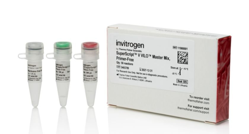 Thermo Fisher Unveils SuperScript V: The New Frontier in High-Fidelity Reverse Transcription