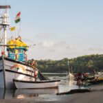 Tides Turn: Indian Seafood Exports Surge 14% on Renewed Western Appetite