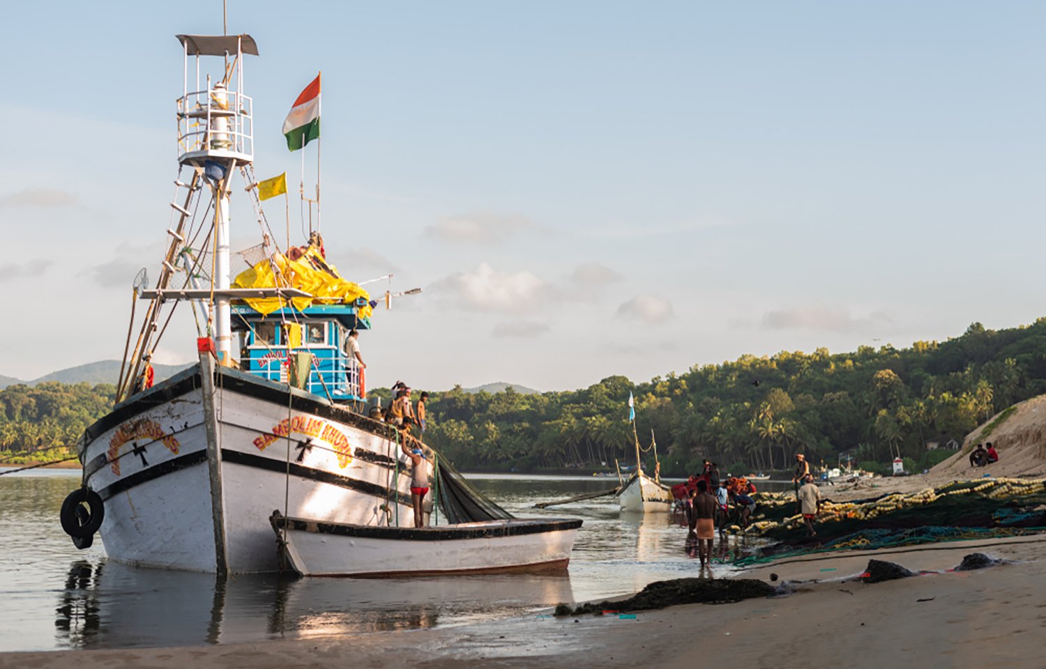 Tides Turn: Indian Seafood Exports Surge 14% on Renewed Western Appetite