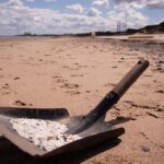 Tides of Change: Refugees Lead Coastal Revival on Tyneside Shores