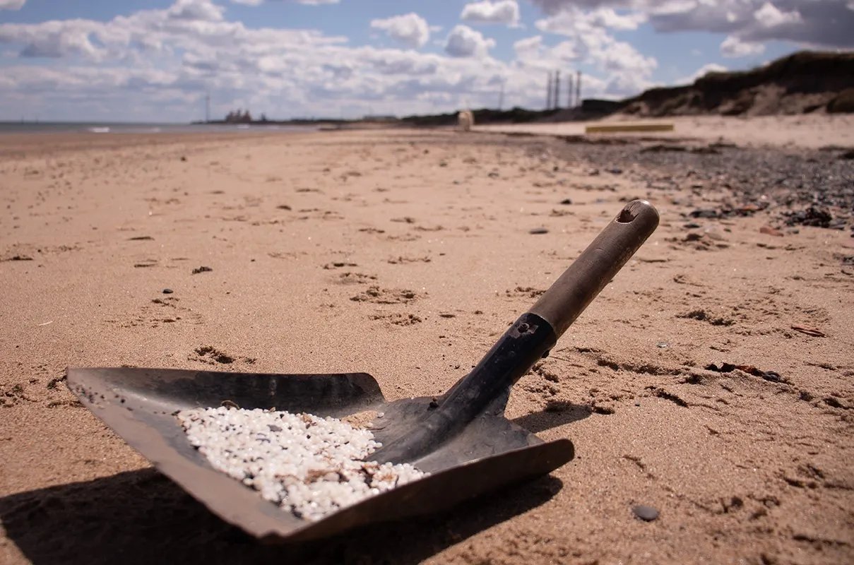 Tides of Change: Refugees Lead Coastal Revival on Tyneside Shores