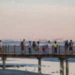 Tipping the Scales: Could a Taiwan Conflict Spark an Ecological Catastrophe?