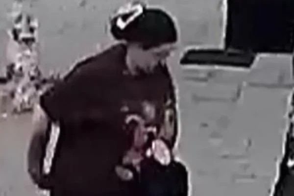 Toddler Left Scarred After Vicious German Shepherd Attack in Pushchair Horror