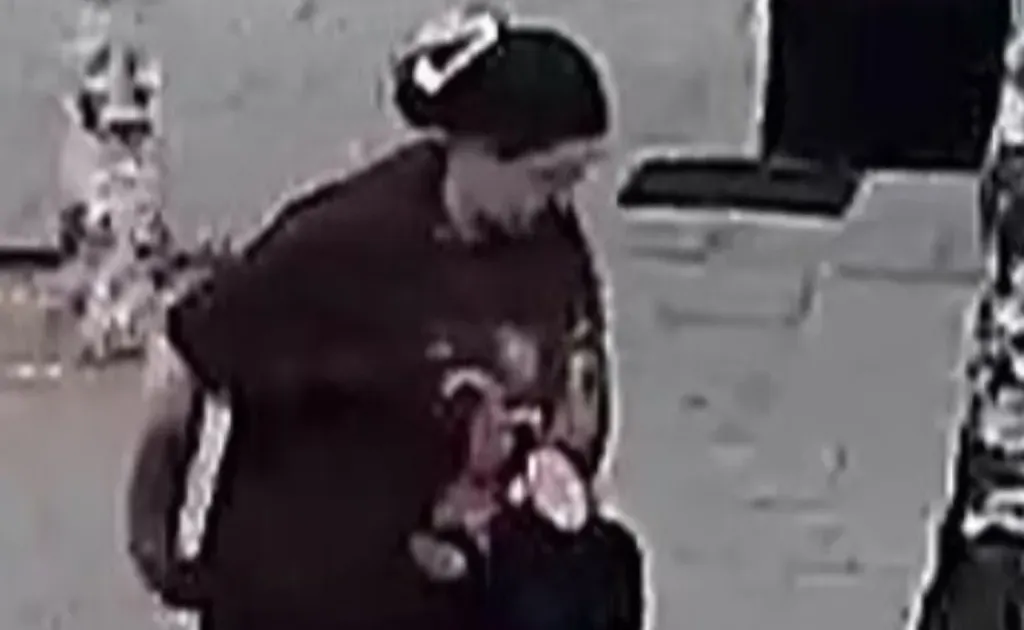 Toddler Left Scarred After Vicious German Shepherd Attack in Pushchair Horror