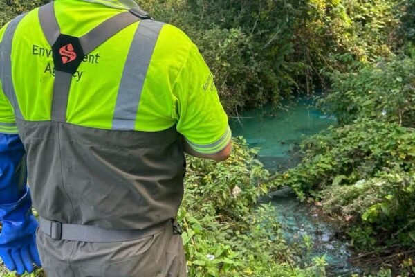 Toxic Tide: Devon Brook Devastated by Catastrophic Pollution Event