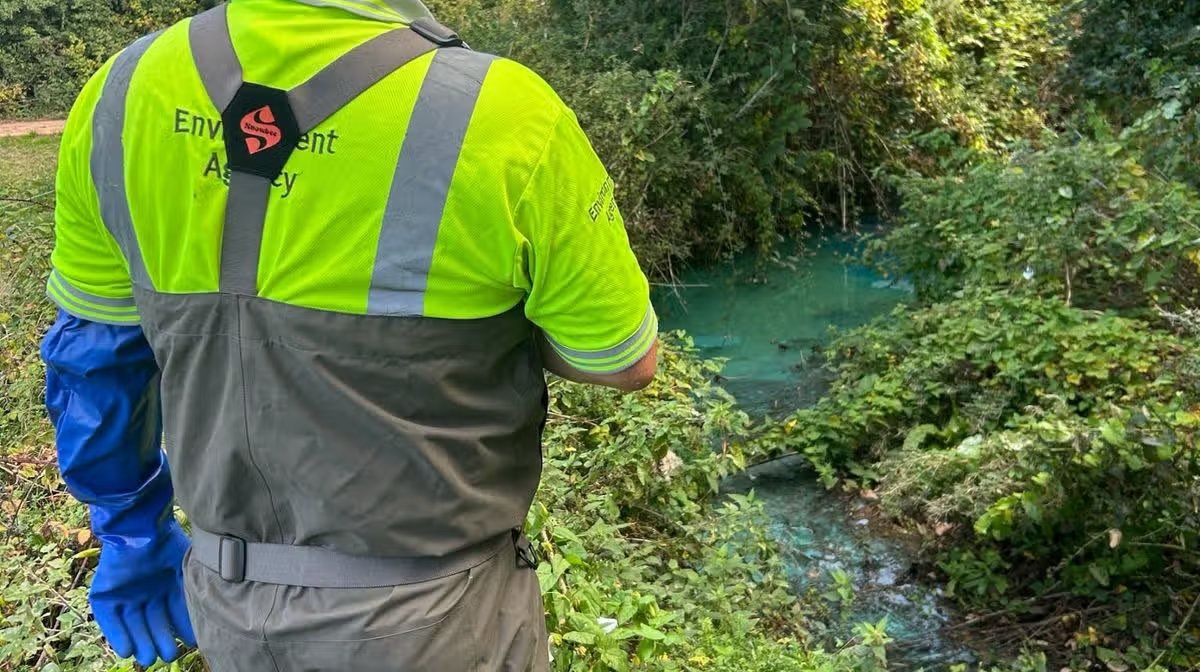 Toxic Tide: Devon Brook Devastated by Catastrophic Pollution Event