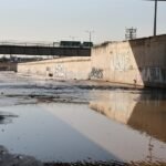 Toxicity Rising: Kifissos River Plagued by Ecological Collapse