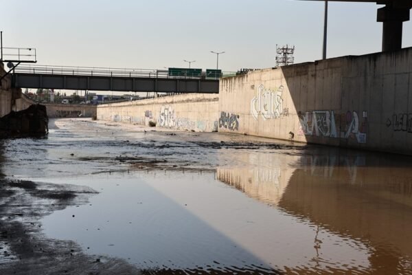 Toxicity Rising: Kifissos River Plagued by Ecological Collapse