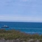 Tragedy at Sorrento: Fatal Shark Attack Sparks Immediate Beach Closure